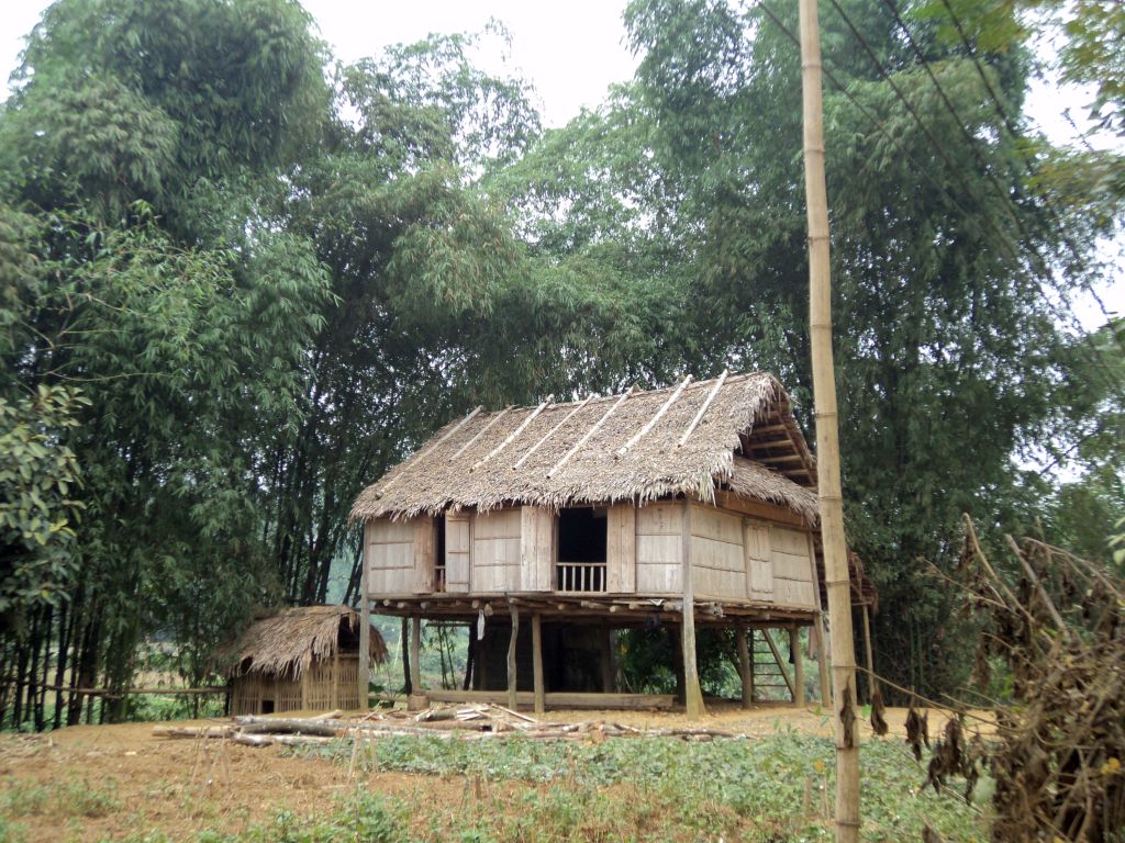 Pile house in Vietnam