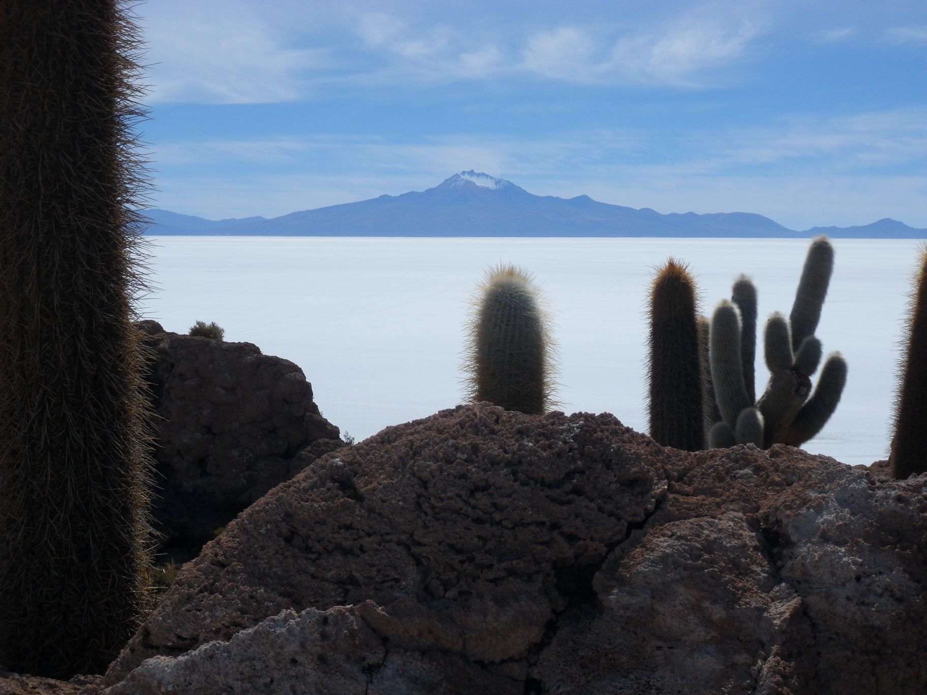 View over the Salar from Inca Huasi