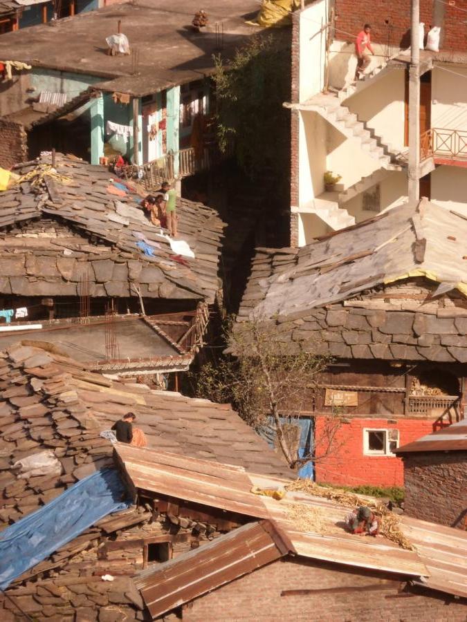 Life on the roofs of Old Manali SAM 8432