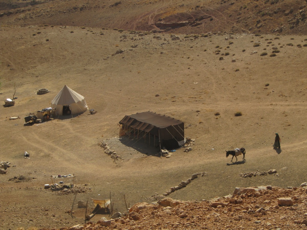 Nomads Nomads