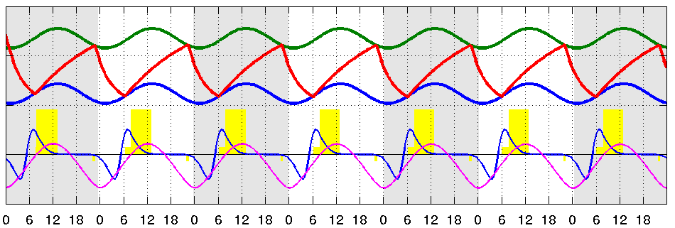 Combined Model for Human Sleep-Wake Rhythm Combined Model for Human Sleep-Wake Rhythm